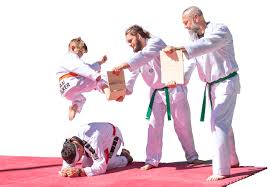 Image result for Walker's American Martial Arts