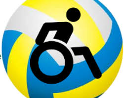 Image result for Newbury Volleyball Club