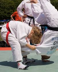Image result for Brighton Judo Club