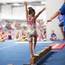 Image result for Thornton Sport Gymnastics
