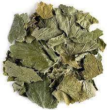 Attēlu rezultāti vaicājumam “Ribes nigrum leaf”