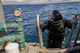 Image result for Great Western Divers