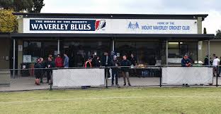 Image result for Waverley Cricket Club