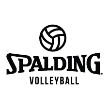 Image result for Spalding Saracens Volleyball Club