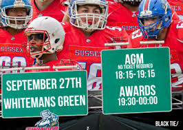 Image result for Sussex Thunder