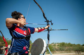 Image result for Blue Arrows Archery Club