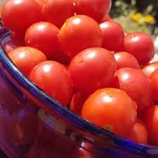 Afbeeldingsresultaat voor debarro black tomato