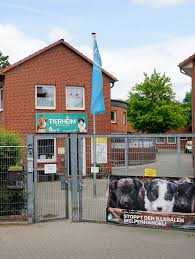 Image result for Tor Bremer