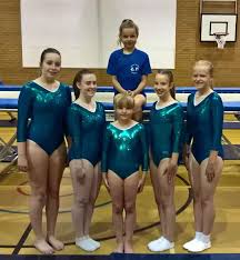 Image result for Abbey Flyers Trampoline Club