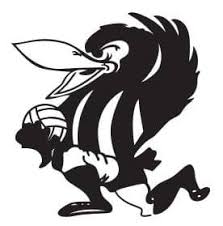 Image result for Ledbury Magpies Netball Club