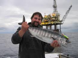 Image result for Sarda sarda