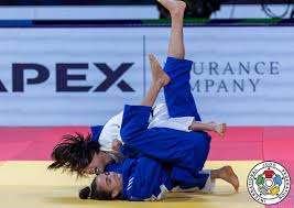 Image result for UTA Judo Club