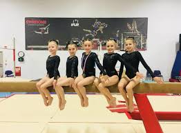 Image result for Amber Valley Gymnastics Club