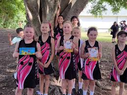 Image result for Twinkles Netball Club