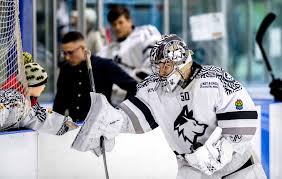 Image result for Haringey Greyhounds Ice Hockey Club