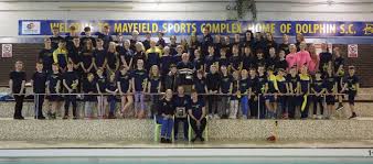 Image result for Swindon Dolphins Swimming Club