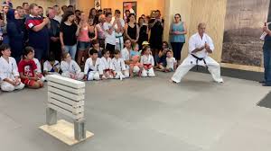 Image result for Chikara Dojo Of Kyokushin Karate