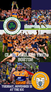 Image result for Clarehurlers