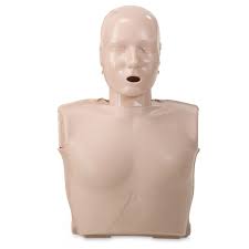 Image result for Manunitid