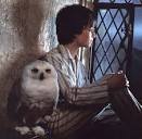 Hedwig - Harry Potter Wiki