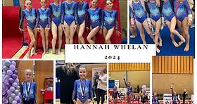 Image result for Vernon Park Gymnastics