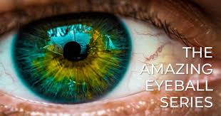 Image result for Iris