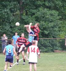 Image result for Wolfe Tones Gaelic Athletic Club