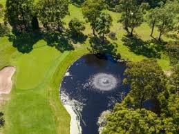 Image result for Gosforth Golf Club Ltd