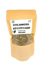 Attēlu rezultāti vaicājumam “Sedum acre fruit”