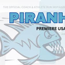 Image result for Sawston Piranhas Octopush Club