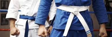 Image result for Southill Karate Club