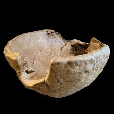 Image result for Boreham Wood Bowls Club