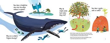 Image result for Kingfisher Twirling Team