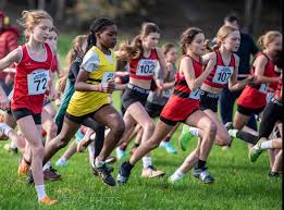 Image result for Brighton & Hove City Athletics Club