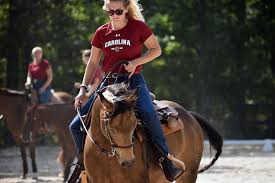 Image result for South Weylands Equestrian