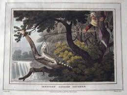 Image result for Shooting, Hunting, Fieldsports on Art prints from 1700's to 1900's