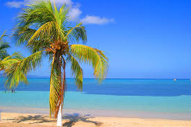¿quieres viajar a Jamaica?
