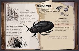 Attēlu rezultāti vaicājumam “Blattoptera”