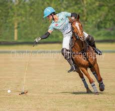 Image result for Cambridge and Newmarket Polo Club