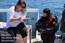 Image result for Cleveland Divers