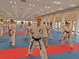 Image result for Chikara Dojo Of Kyokushin Karate