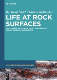 Attēlu rezultāti vaicājumam “Gloeocapsa rupestris”