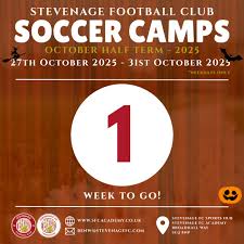 Image result for Stevenage Aqualine SSC