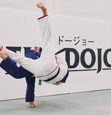 Image result for yonju dojo
