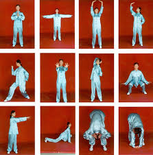 Image result for WUQI KUNG FU AND HEALTH SOCIETY