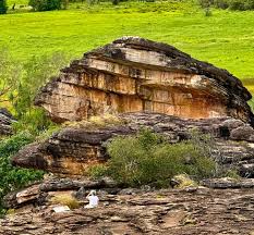 Billedresultat for kakadu n...