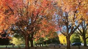 Image result for Leek Park B C