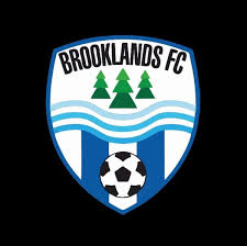 Image result for Brooklands Hockey Club