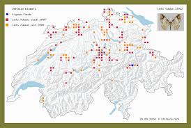 Attēlu rezultāti vaicājumam “Venusia blomeri”