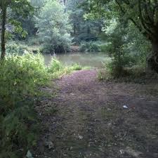 Image result for Weybridge Angling